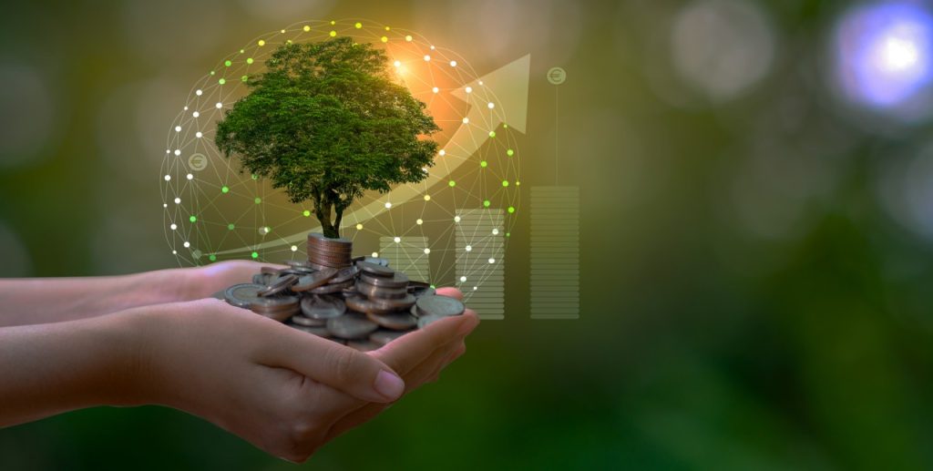 Financial Discipline: The Quiet Driver of Sustainable Growth