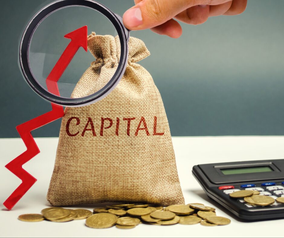 Beyond Access to Capital: What Truly Drives SME Growth?